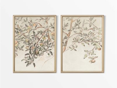 Apple Tree (Split) Vintage Art Prints