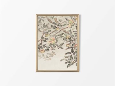 Apple Tree (Triptych) Vintage Art Print