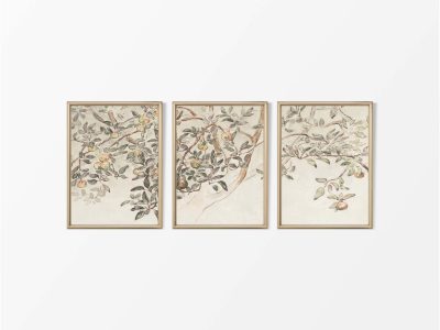 Apple Tree (Triptych) Vintage Art Prints