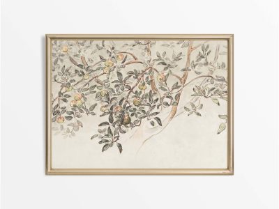 Apple Tree Vintage Art Print