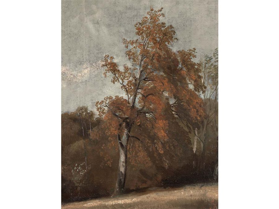 Autumn Birch Vintage Art Print