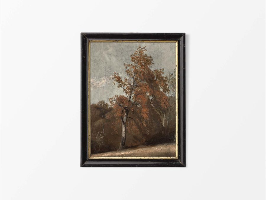 Autumn Birch Vintage Art Print