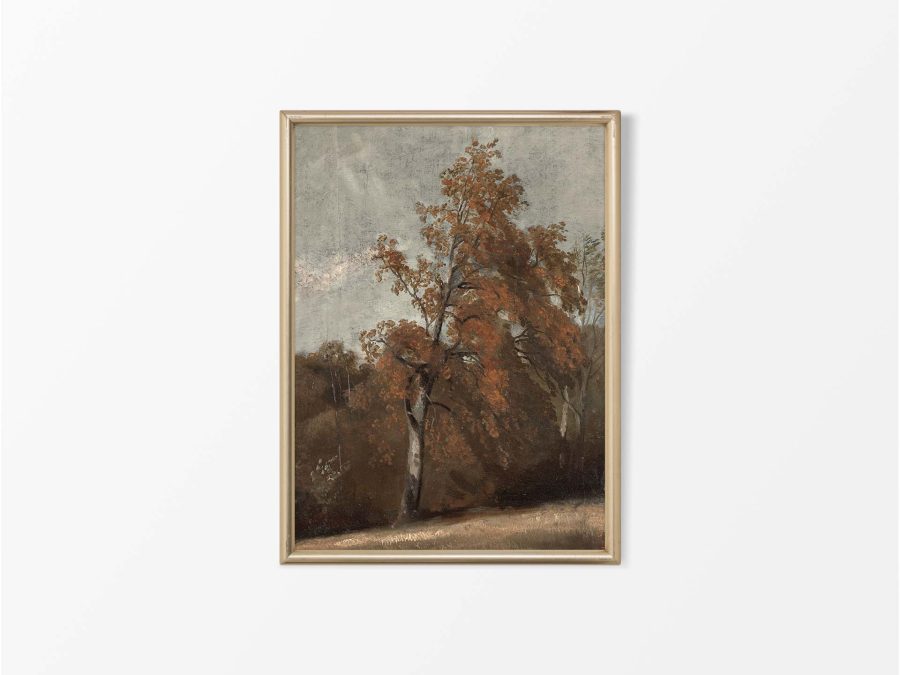 Autumn Birch Vintage Art Print