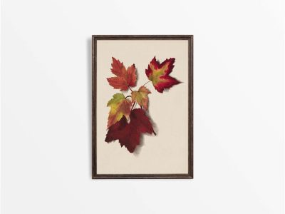 Autumn Leaves II Vintage Art Print