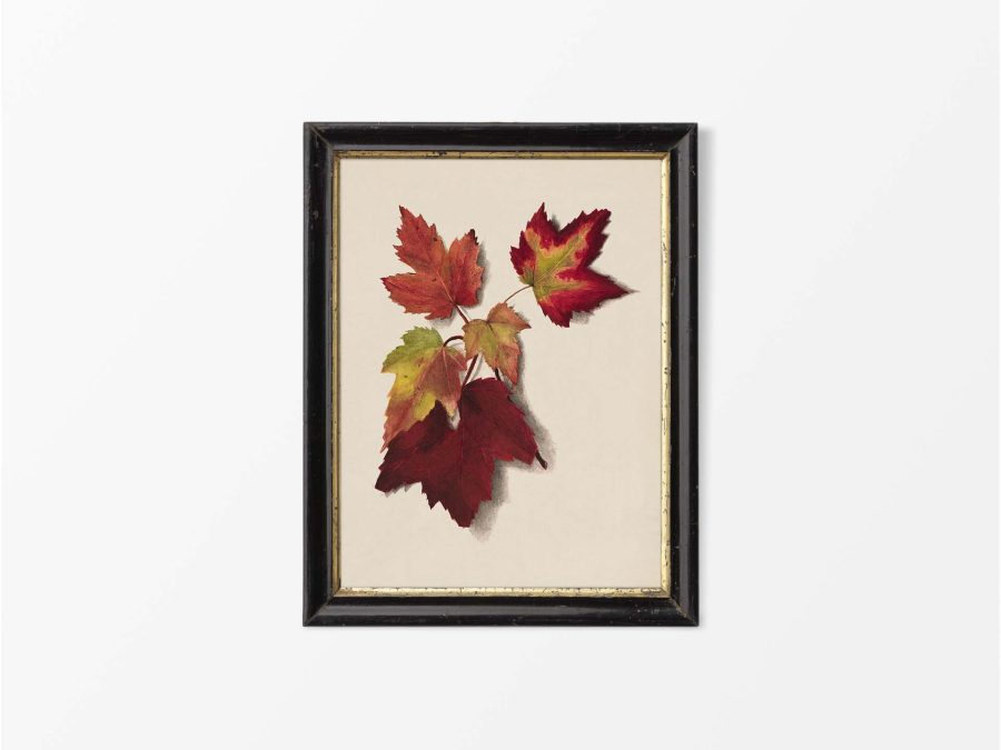 Autumn Leaves II Vintage Art Print