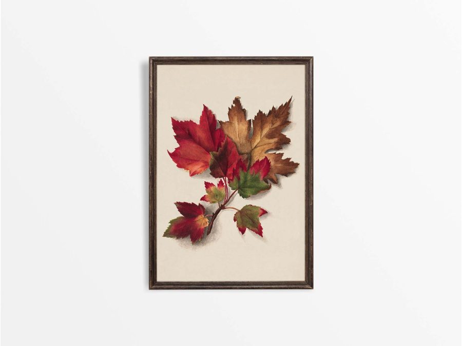 Autumn Leaves III Vintage Art Print