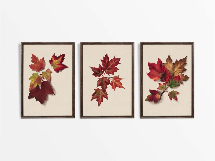 Autumn Leaves (Set of Three) Vintage Art Prints