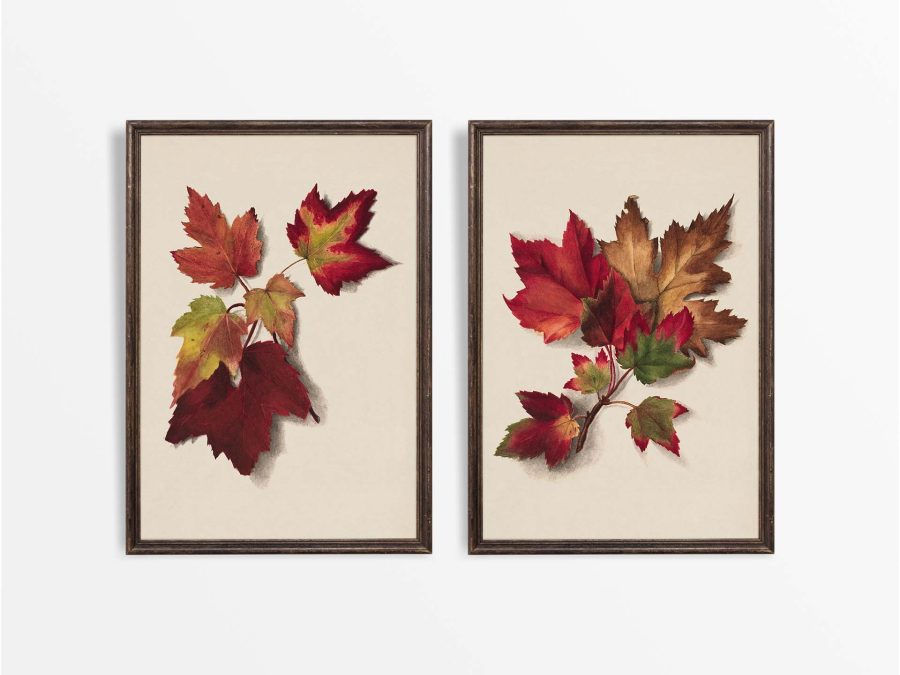Autumn Leaves (Set of Two) Vintage Art Prints