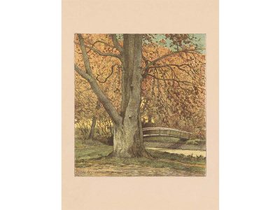 Autumn Stream Vintage Art Print