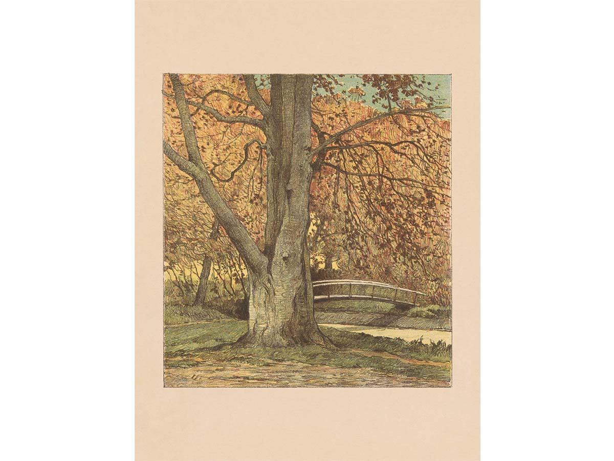 Autumn Stream Vintage Art Print