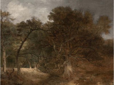 Autumn Woodland IV Vintage Art Print