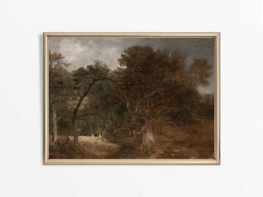 Autumn Woodland IV Vintage Art Print