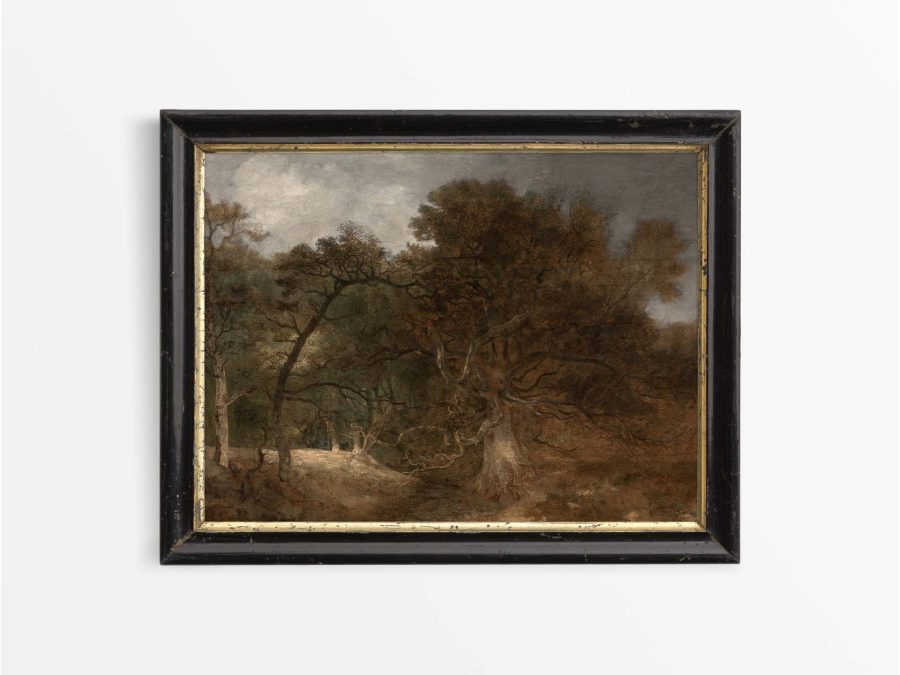 Autumn Woodland IV Vintage Art Print