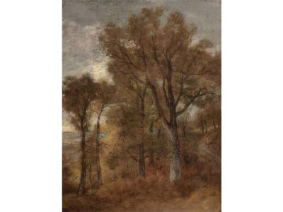 Autumn Woodland V Vintage Art Print