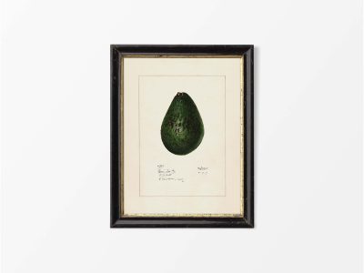 Avocado Vintage Art Print