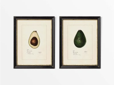 Avocados (Set of Two) Vintage Art Prints
