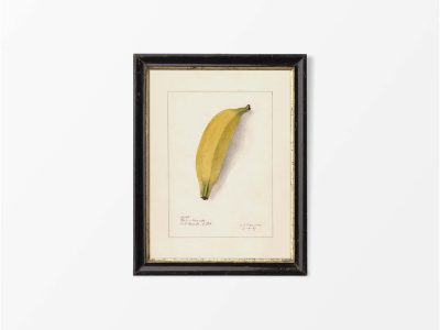 Banana Vintage Art Print