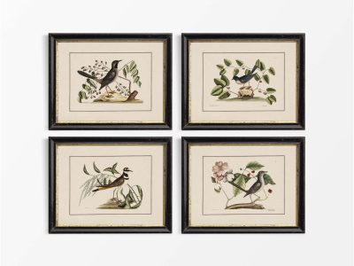 Birds II (Set of Four) Vintage Art Prints