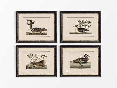 Birds III (Set of Four) Vintage Art Prints