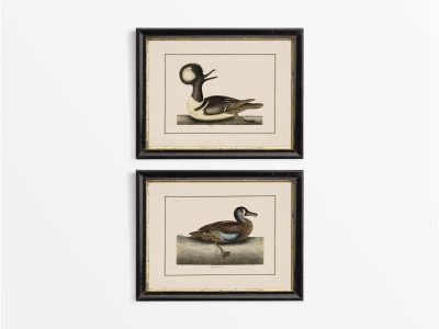 Birds III (Set of Two) Vintage Art Prints