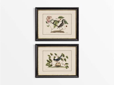 Birds IV (Set of Two) Vintage Art Prints