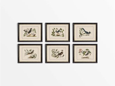 Birds (Set of Six) Vintage Art Prints