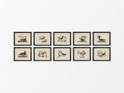 Birds (Set of Ten) Vintage Art Prints