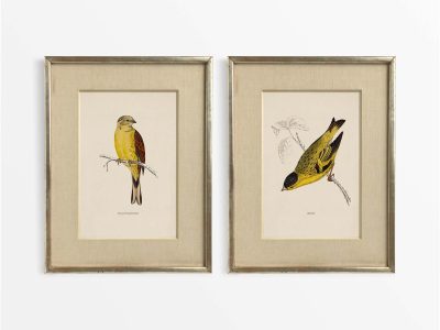 Birds (Set of Two) Vintage Art Prints