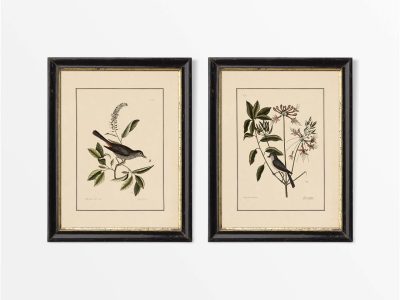 Birds VI (Set of Two) Vintage Art Prints