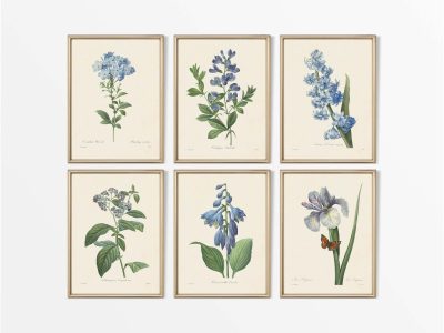 Botanical Drawings III (Set of Six) Vintage Art Prints