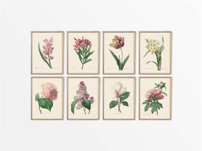 Botanical Drawings (Set of Eight) Vintage Art Prints