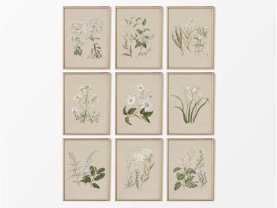 Botanical Drawings (Set of Nine) Vintage Art Prints