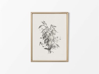 Botanical Sketch XII Vintage Art Print