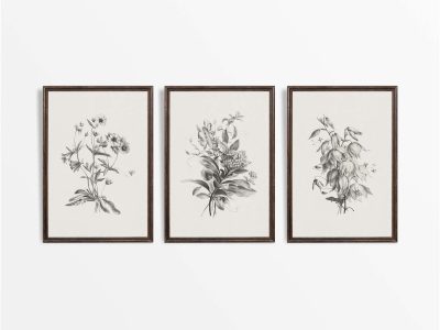 Botanical Sketches II (Set of Three) Vintage Art Prints