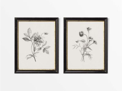 Botanical Sketches II (Set of Two) Vintage Art Prints