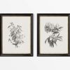 Botanical Sketches IV (Set of Two)