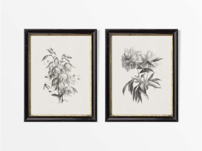 Botanical Sketches IV (Set of Two) Vintage Art Prints