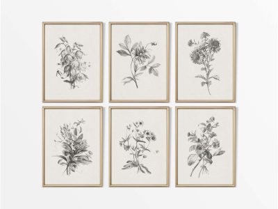 Botanical Sketches (Set of Six) Vintage Art Prints