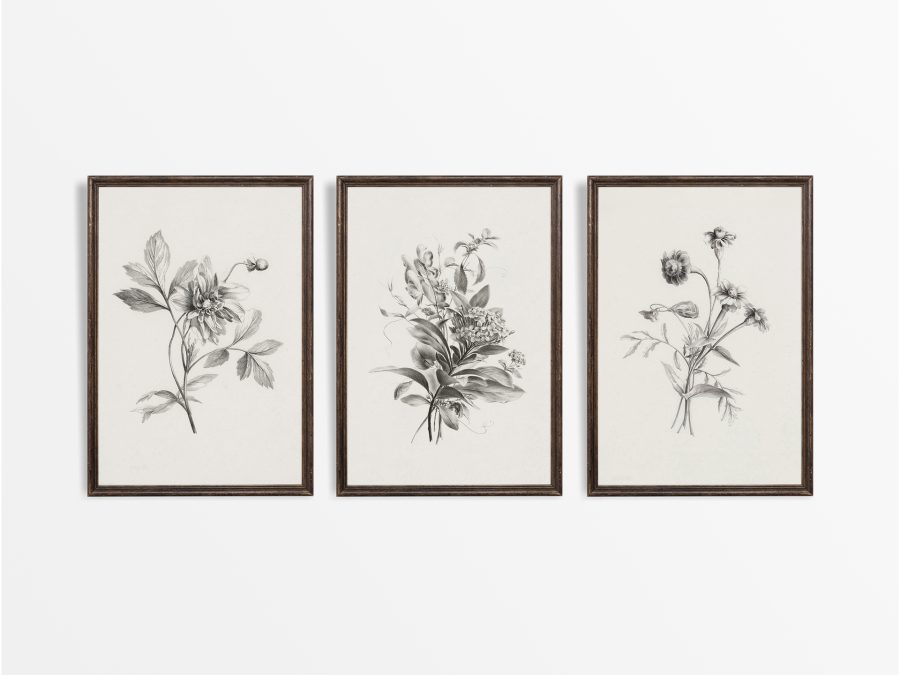Botanical Sketches (Set of Three) Vintage Art Prints