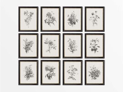 Botanical Sketches (Set of Twelve) Vintage Art Prints