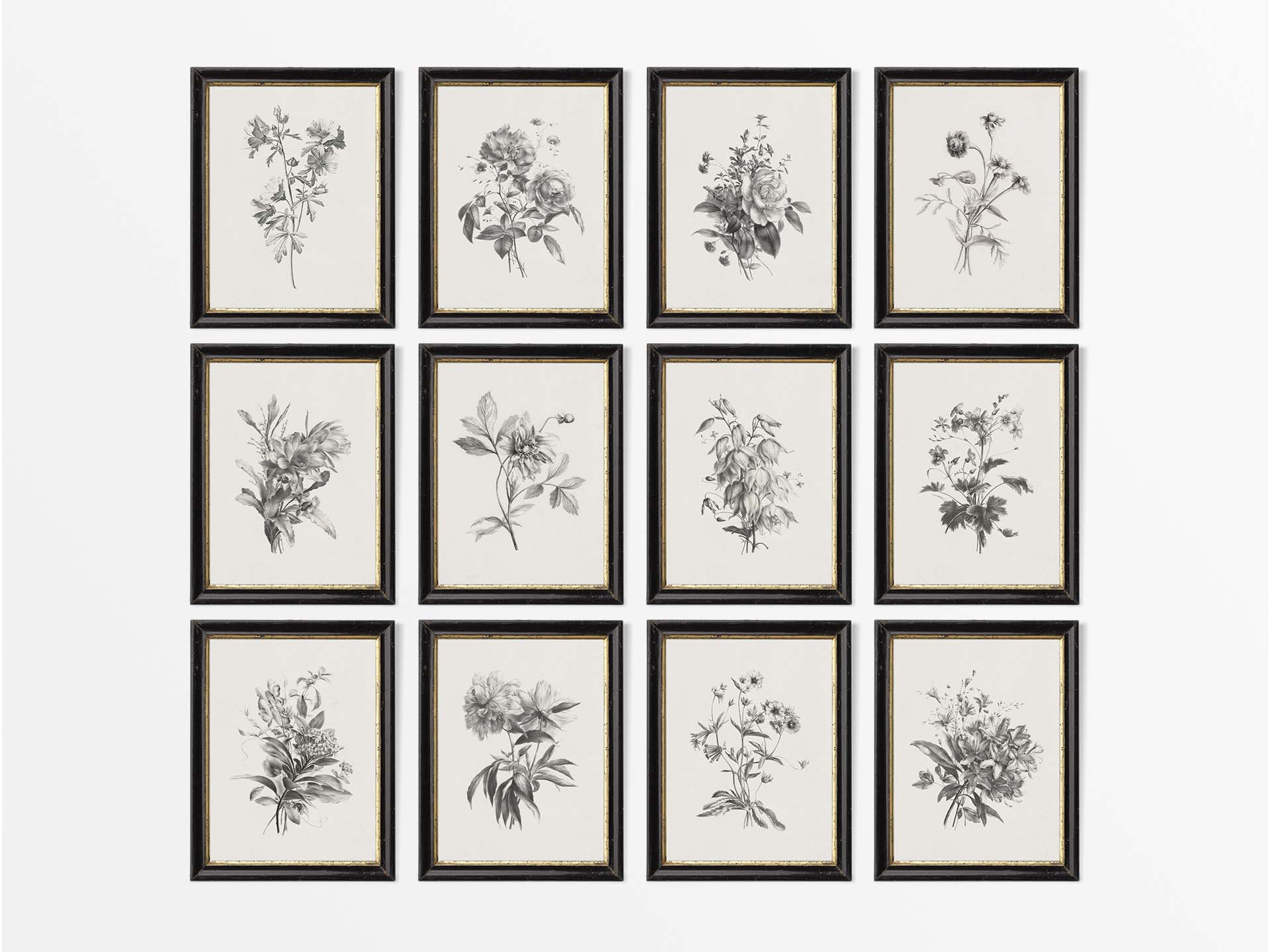 Botanical Sketches (Set of Twelve) Vintage Art Prints