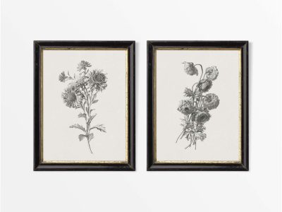 Botanical Sketches (Set of Two) Vintage Wall Art Prints
