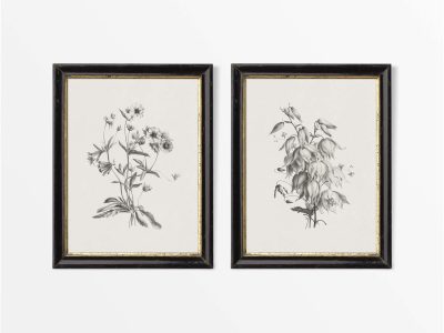 Botanical Sketches V (Set of Two) Vintage Art Prints