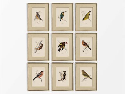 British Birds II (Set of Nine) Vintage Art Prints