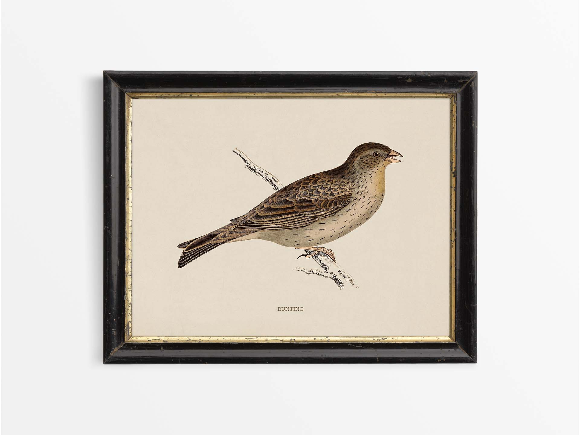 Bunting Vintage Art Print