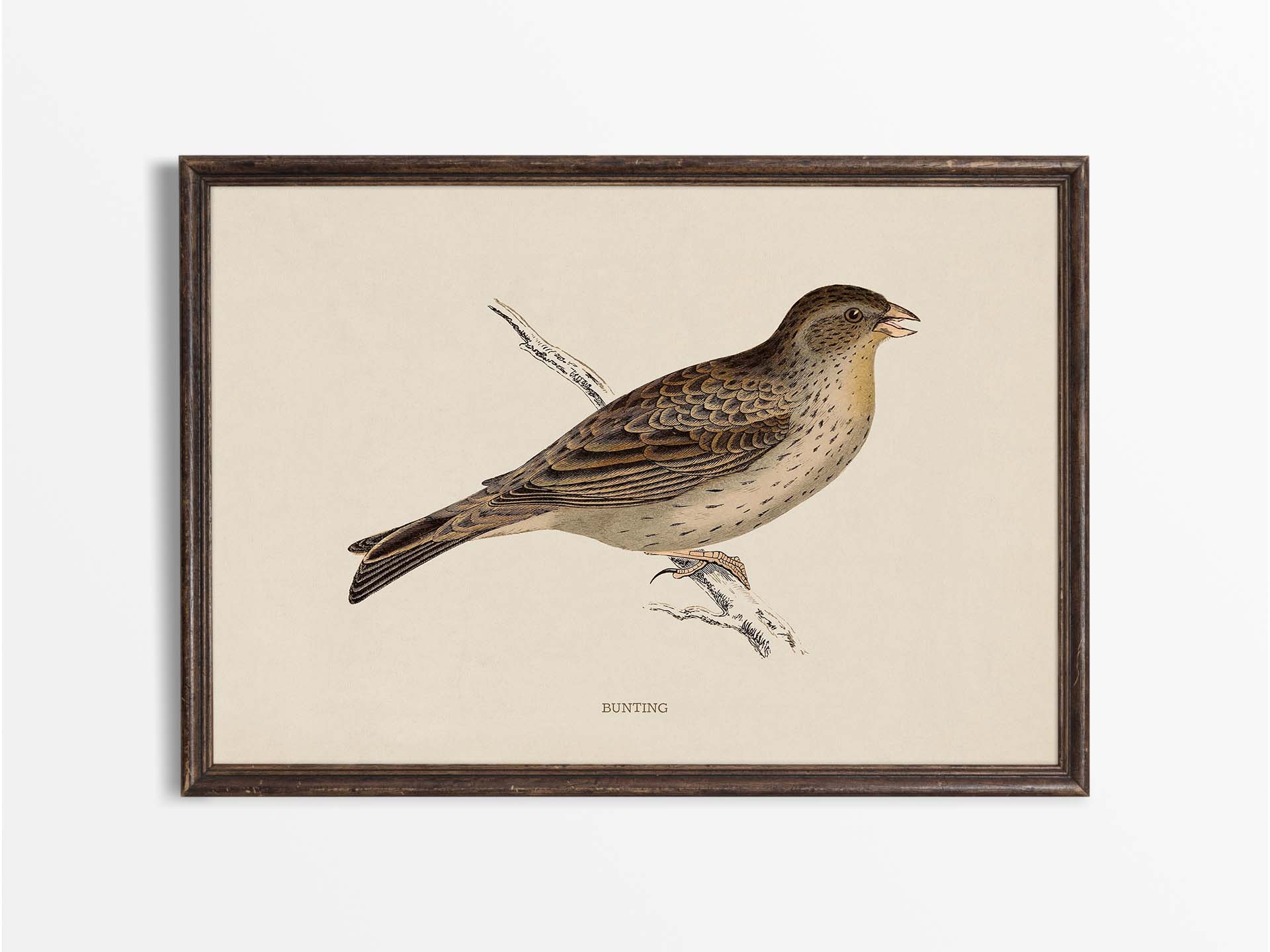 Bunting Vintage Art Print