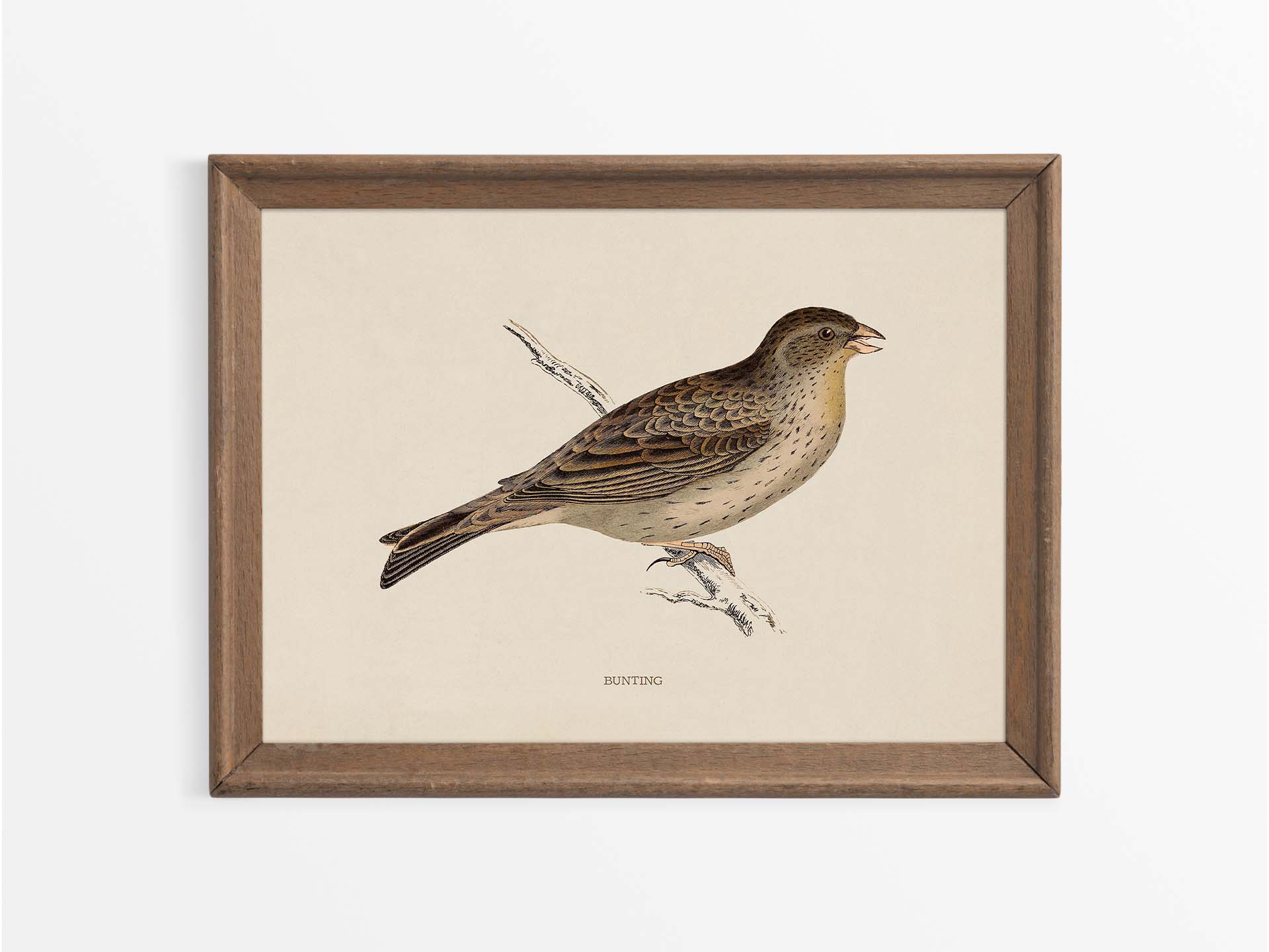 Bunting Vintage Art Print