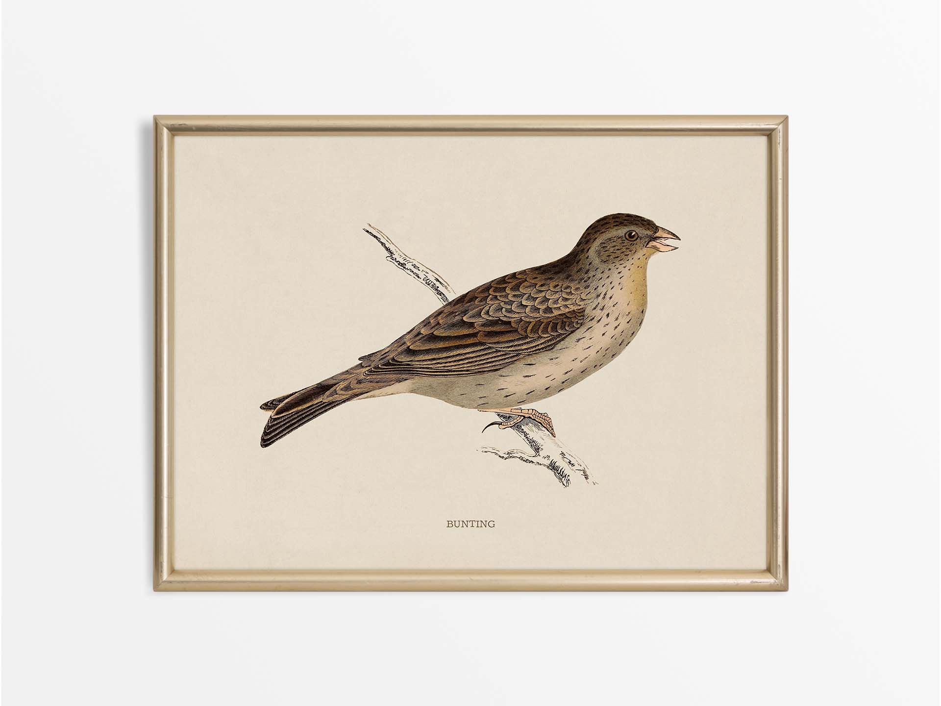 Bunting Vintage Art Print