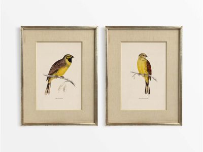 Buntings (Set of Two) Vintage Art Prints