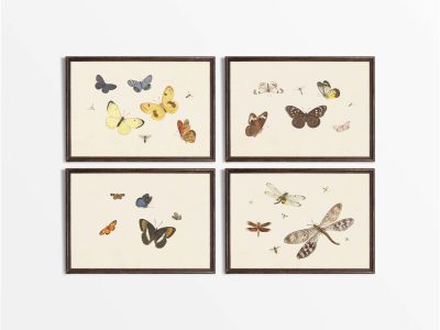 Butterflies (Set of Four) Vintage Art Prints